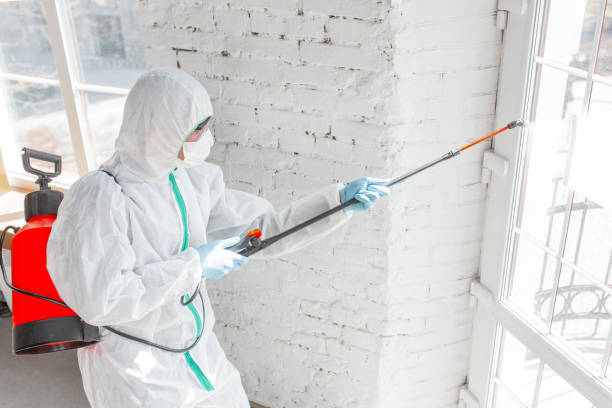 Why You Should Choose Our Mold Remediation Services in Wolf Trap, VA